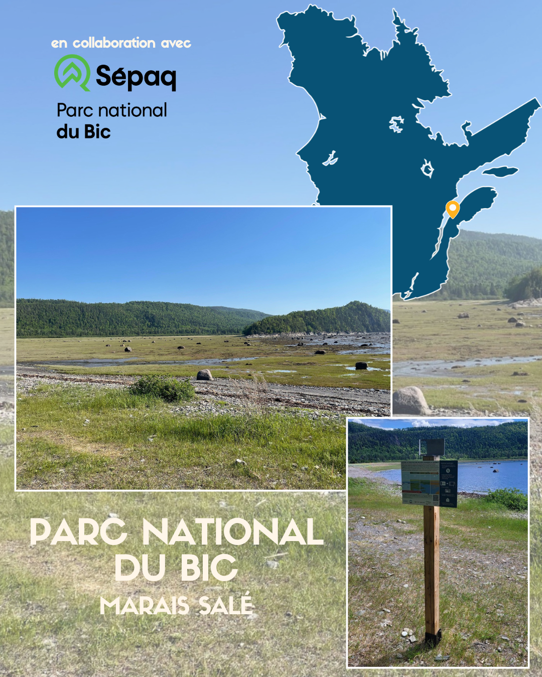 Le projet dans les milieux humides du Québec — image 10