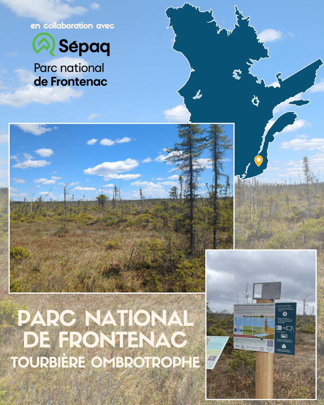 Le projet dans les milieux humides du Québec — image 2