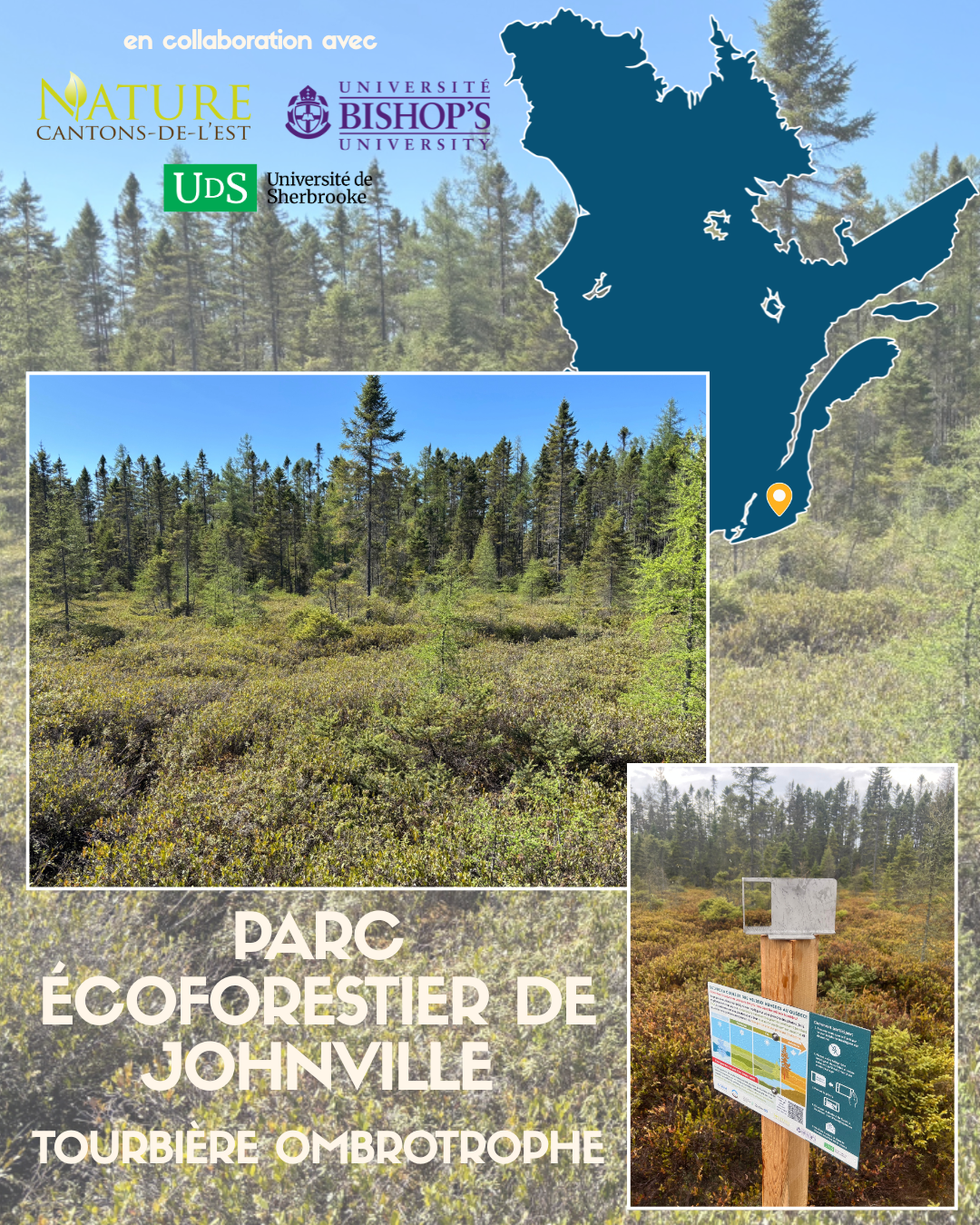 Le projet dans les milieux humides du Québec — image 3