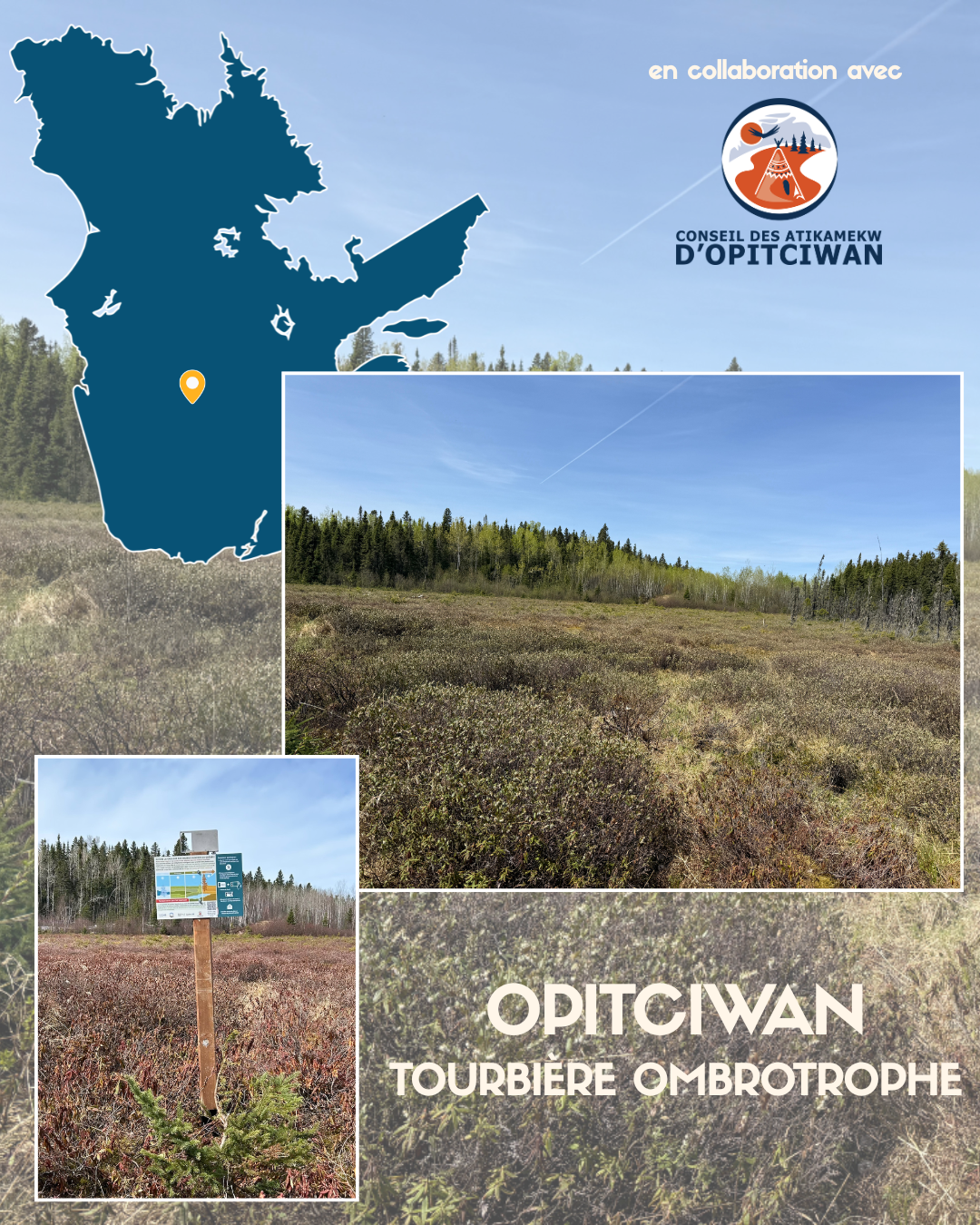 Le projet dans les milieux humides du Québec — image 4