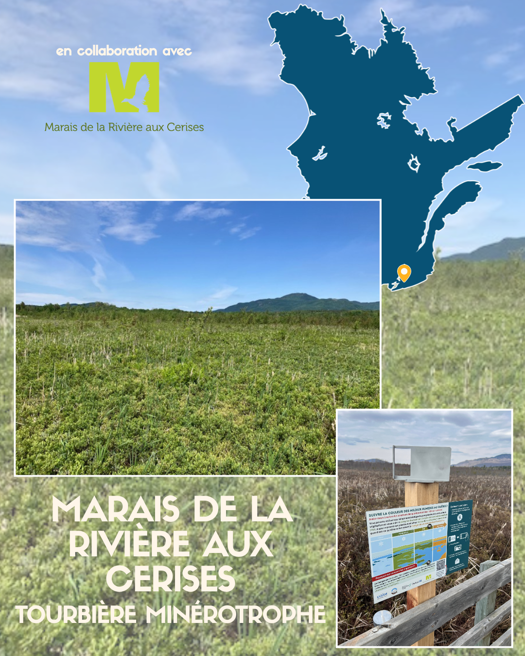 Le projet dans les milieux humides du Québec — image 5
