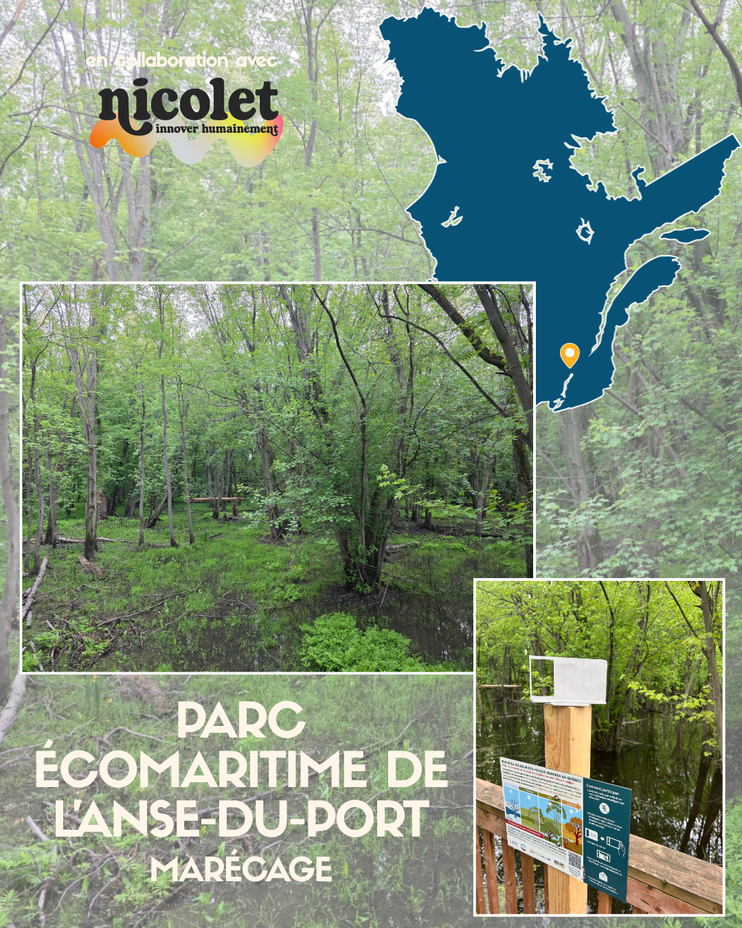 Le projet dans les milieux humides du Québec — image 6