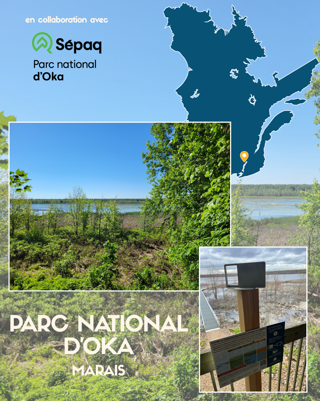 Le projet dans les milieux humides du Québec — image 7
