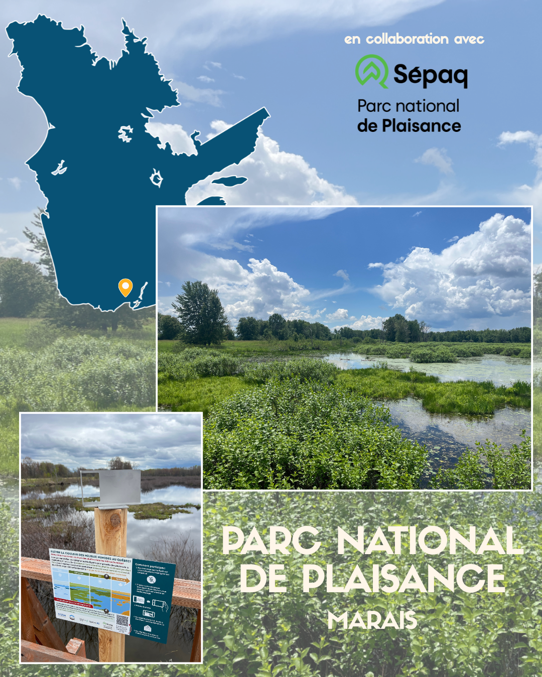 Le projet dans les milieux humides du Québec — image 8